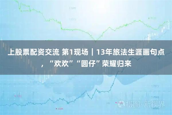 上股票配资交流 第1现场｜13年旅法生涯画句点，“欢欢”“圆仔”荣耀归来